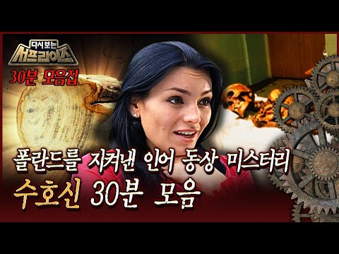 [다시보는 서프라이즈] 폴란드를 지켜낸 인어 동상 미스터리 수호신 30분 모음 MBC 181118 방송