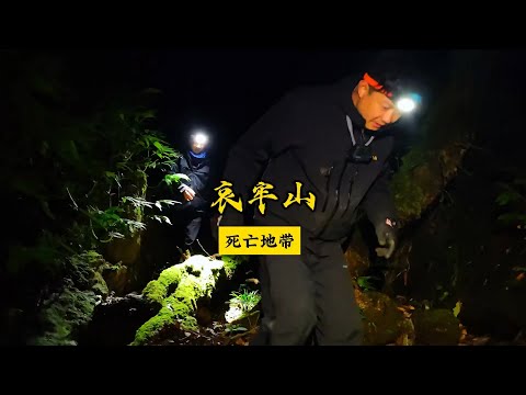 人类的三大禁区：深入哀牢山原始森林，一个充满神秘和危险的地区 #哀牢山#原始森林#vlog日常