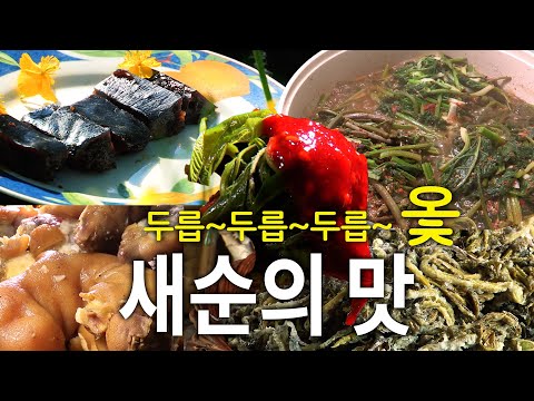 "Dureup, Dureup, Dureup~~ The taste of fresh sprouts, enjoyed despite the fear of lacquer allergy!