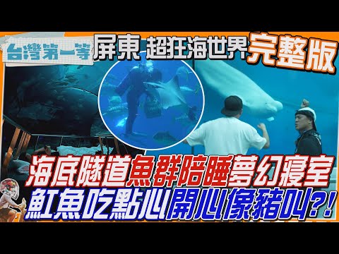 [全新] 屏東【海底體驗！魚群陪睡 隧道變「夢幻大海寢室」、魟魚吃點心"開心像豬叫"嘗美食像沖馬桶/國產洋蔥重鎮！手炒7小時「濃縮餡」鹹甜混"洋蔥冰淇淋"】│2025.04.27│《台灣第一等》完整版