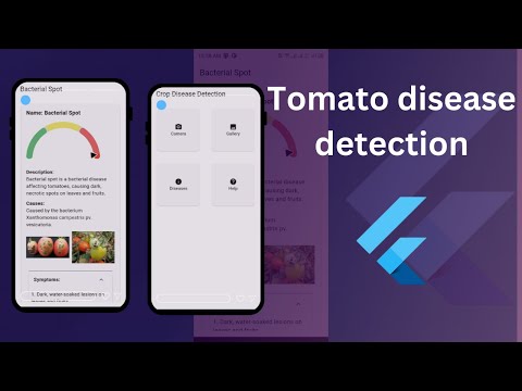 flutter machine learning | tomato disease detection using flutter & machine learning model | flask