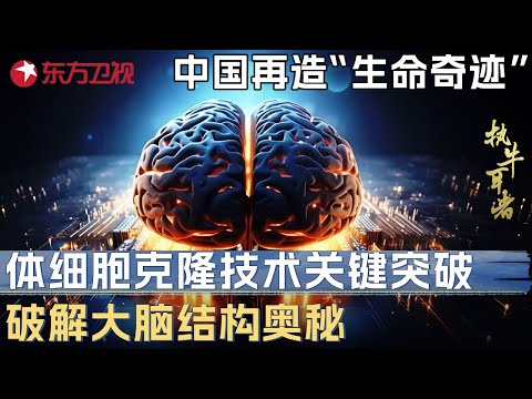 中国再造“生命奇迹”! 体细胞克隆技术关键突破, 凭此技术专家成功破解大脑结构奥秘 #未来说执牛耳者 第四季 第5集 CLIP