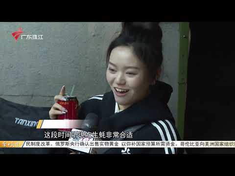 【今日关注】十五运会闭幕式今晚在深圳前海精彩举办|2025广州国际车展开幕 新能源车“油箱回归”|广州:“烟花房”预订火爆 有酒店初一江景房一天内“扫空”|20251121完整版 #粤语 #news