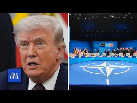 Trump Questions Role In 'Paper Tiger' NATO; Says He Is Considering Leaving Alliance
