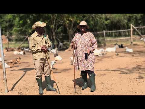 How u can successfully run a farm when your far away (abroad and what is the secret behind it )