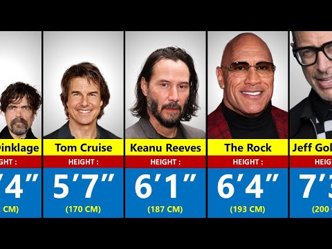 Real Heights of 300 Hollywood Actors - How Tall Are They Really?