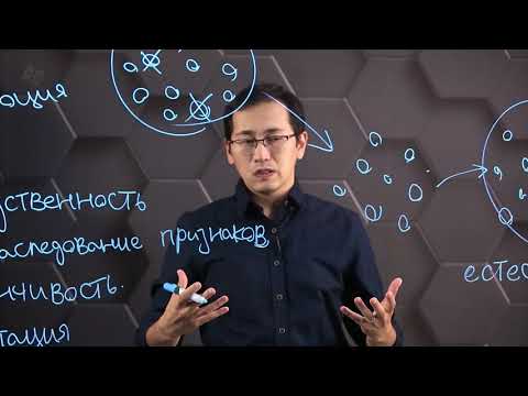 Взаимосвязь между наследственной изменчивостью и эволюцией. 10 класс.