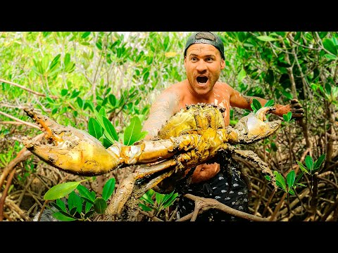 Surviving 24 Hours In A Mangrove Forest