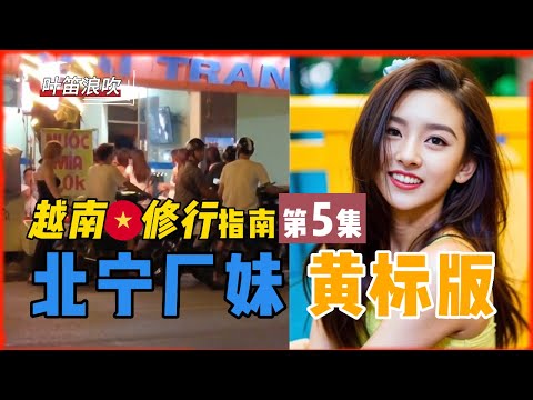 Two things you must know when you come to Vietnam!  ▶What is a "natural cat"'? What does $30 mean?