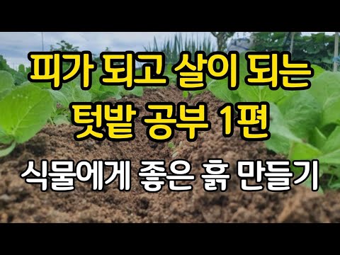 Pre-Gardening Study Part 1: Making Plant-Friendly Garden Soil