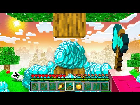 MINECRAFT mit ZUFÄLLIGEN BLÖCKEN spielen!