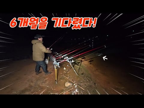 민물에서 가장 비싼 장어가 움직인다!! 그런데.. 이거 대체 뭐죠?