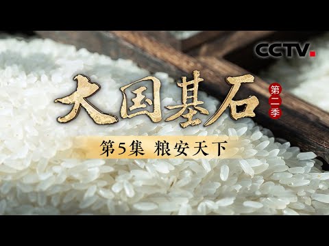 一群人给大米饭的9个维度打分？原来吃饭这么深奥 《大国基石 第二季》 第5集 粮安天下 | CCTV