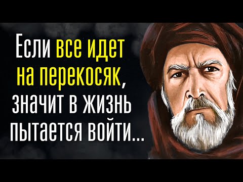 ✨Жемчужины Мудрости Великих Старцев✨ | Лучшие Цитаты и Афоризмы Гениальных Мудрецов Всех Времен