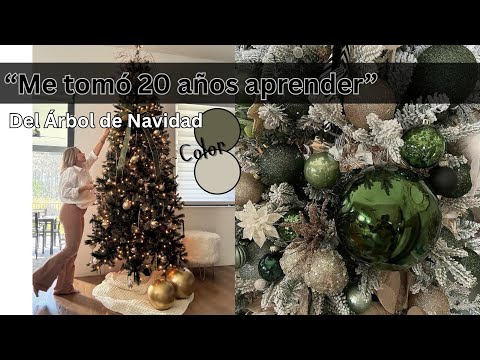 20 años de aprendizaje, revelados en 10 minutos.