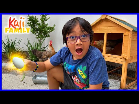 Our chickens Lay Eggs for first time!!!!