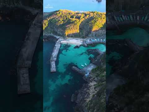 🎧 Chill Vibes Only 2025 | Deep House Pulse#deephouse #shorts #summershorts