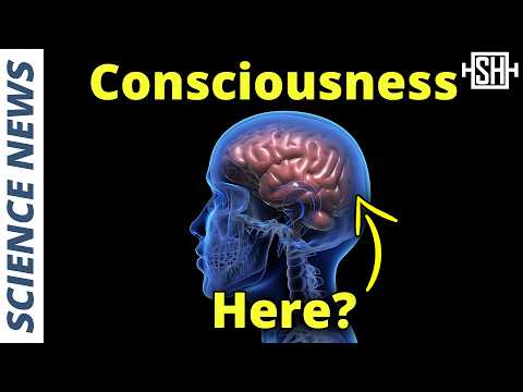 "Pseudoscientific" Theory Correctly Predicts Location of Consciousness