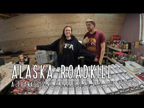 Alaska Moose Harvest - A Thanksgiving surprise