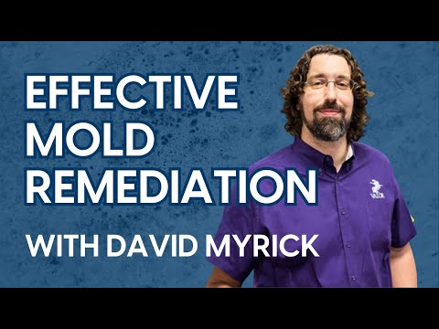 Effective Mold Remediation: Key Practices and Red Flags to Watch For