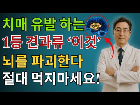 60세 이후 절대 조심해야 할 뇌에 해로운 견과류 4가지와 치매로부터 뇌를 지켜주는 견과류 4가지 | 시니어건강