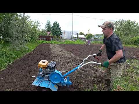 "ГУСИНЫЕ ЛАПКИ"Мотоблок Нева МБ-2. 4 сотки-за 14 минут!Они лучшие!