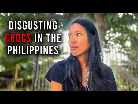 The CROCODILES of the Philippines are INSUFFERABLE | Come visit them!