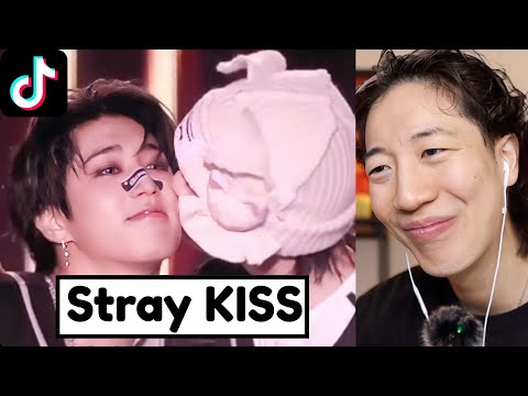 Stray Kids WHOLESOME TikTok Edits