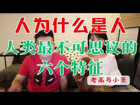人为什么是人，人类最不可思议的六个特征   老高与小茉