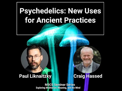 Psychedelics: New Uses for Ancient Practices | Paul Liknaitzky | M3CS Seminar Series