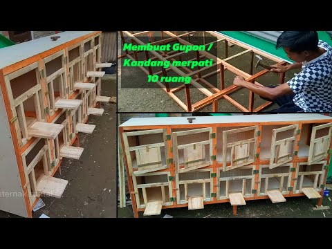 Make a pigeon coop, 10 room pigeon coop