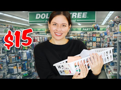 I Bought $15 of New DOLLAR TREE Products: WAS IT A WASTE OF MONEY?
