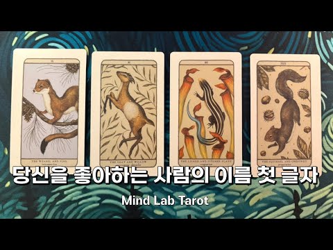 여기까지 말해도 돼요? 당신을 좋아하는 사람의 이름 타로 리딩