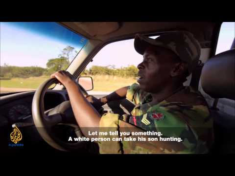 Wildlife Warzone - Winning the War