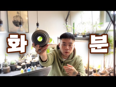 식물 키울 때 최고의 화분은 이겁니다. 화분 고르는 팁 / 제가 토분을 안쓰는 이유 (기본편) / 기존의 화분에 대한 생각을 깨드림 / 과습