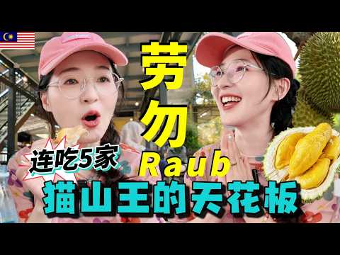 【Malaysia】2h from KL to Raub, hometown of Musang King! Tried 5 durian stalls in 1 day + transport
