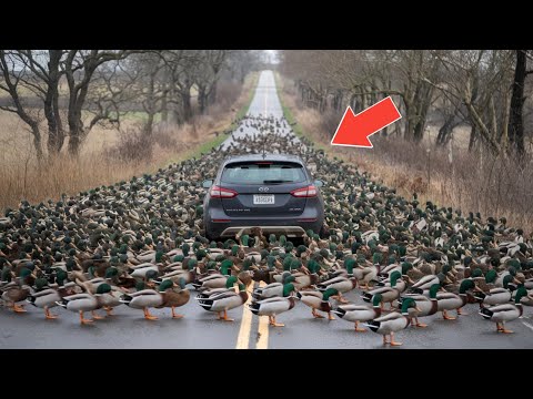 75 Most Incredible Moments Ever Caught on Camera
