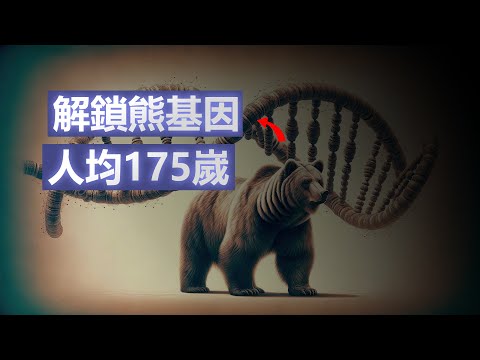 遠古神獸是熊而不是龍 跑的比博爾特快 爬樹比猴快 比狗聰明 素食居多 怎麼是懦弱的代名詞 還隱藏了一個長壽的秘密 |1K圖解