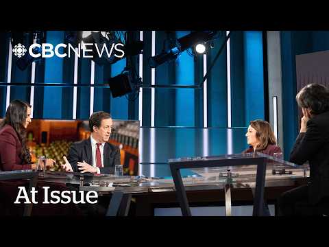 At Issue | Your 2026 Canadian politics primer