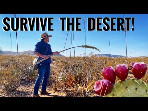 11 Desert Plants For Survival, Bushcraft & Primitive Skills- (Desert Bushcraft)