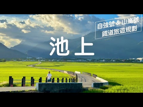 「池上，這片綠🌾，讓人瞬間放鬆！」從台北來到池上，為的就是這片稻田的美與平靜