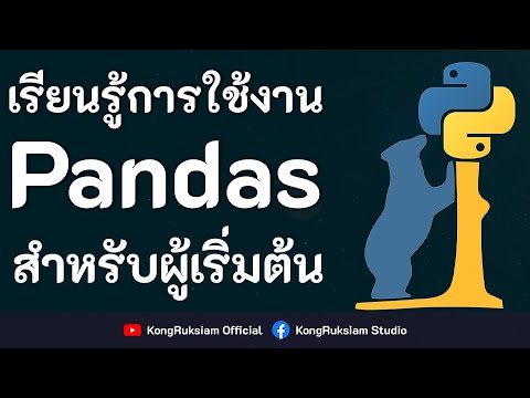 สอน Python & Pandas | สำหรับจัดการและวิเคราะห์ข้อมูล [FULL COURSE]