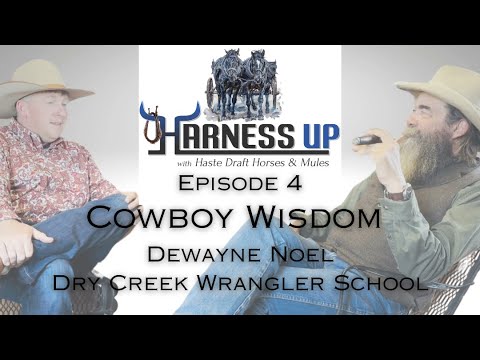 "Unexpected Cowboy Secrets Revealed": Insights from Dry Creek Wrangler School with Dewayne Noel