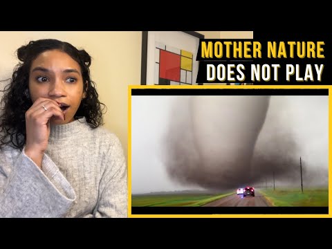 Craziest Nature Videos of the Decade |  Daily Dose of Internet reaction