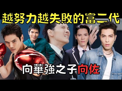 爸爸是黑白通吃的娛樂圈大佬，兒子卻被嘲是「扶不起的阿斗」｜向佐｜向華強｜叉雞