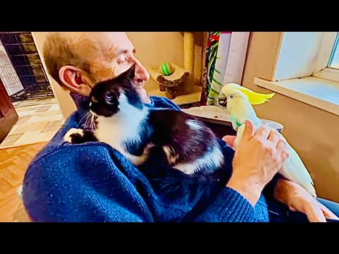 Это НЕ ОБЫЧНОЕ ВИДЕО, посмотрите на Влада и Киру и их отношения ….