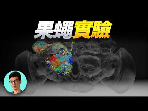 奇點時刻！人類第一次「上傳」了一個大腦，並讓它在虛擬世界中活了過來「曉涵哥來了」