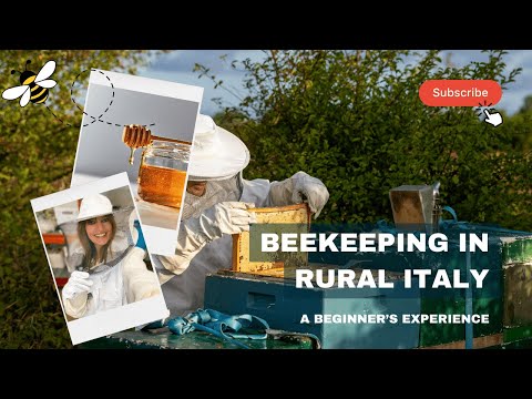 Thinking about Beekeeping? Here’s A Beginner's Experience!