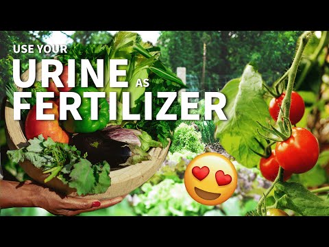 Using Your Own Urine as Fertilizer