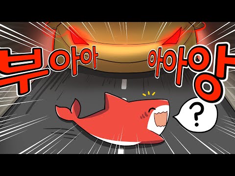 바다로 돌아가고 싶은 아기상어